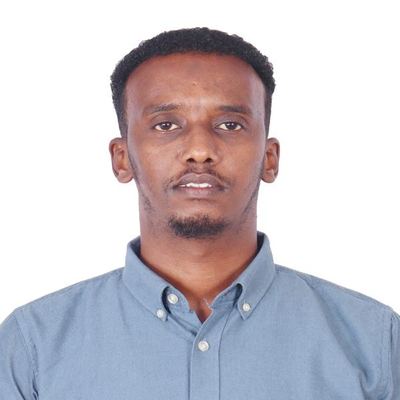 Mohamed A. Abdi